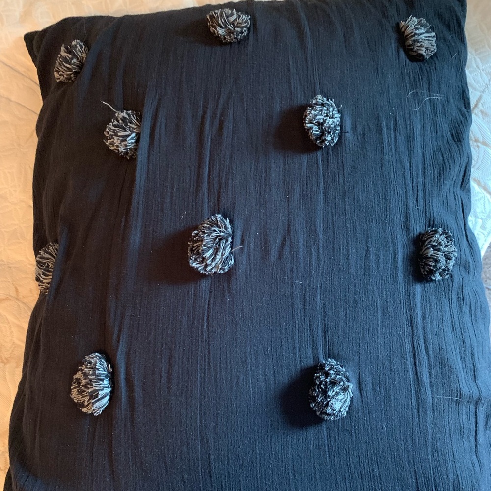 PB Teen pillow sham